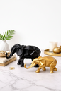 Regal Elephant Duo (Pair)