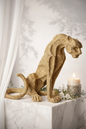 Golden Apex Panther