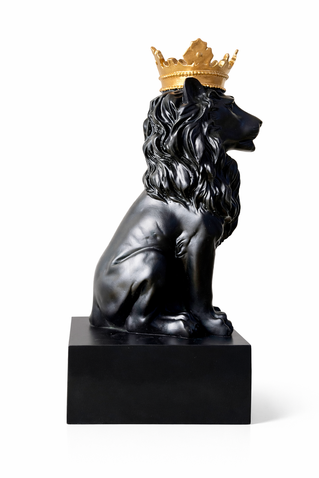 Midnight Crown Lion